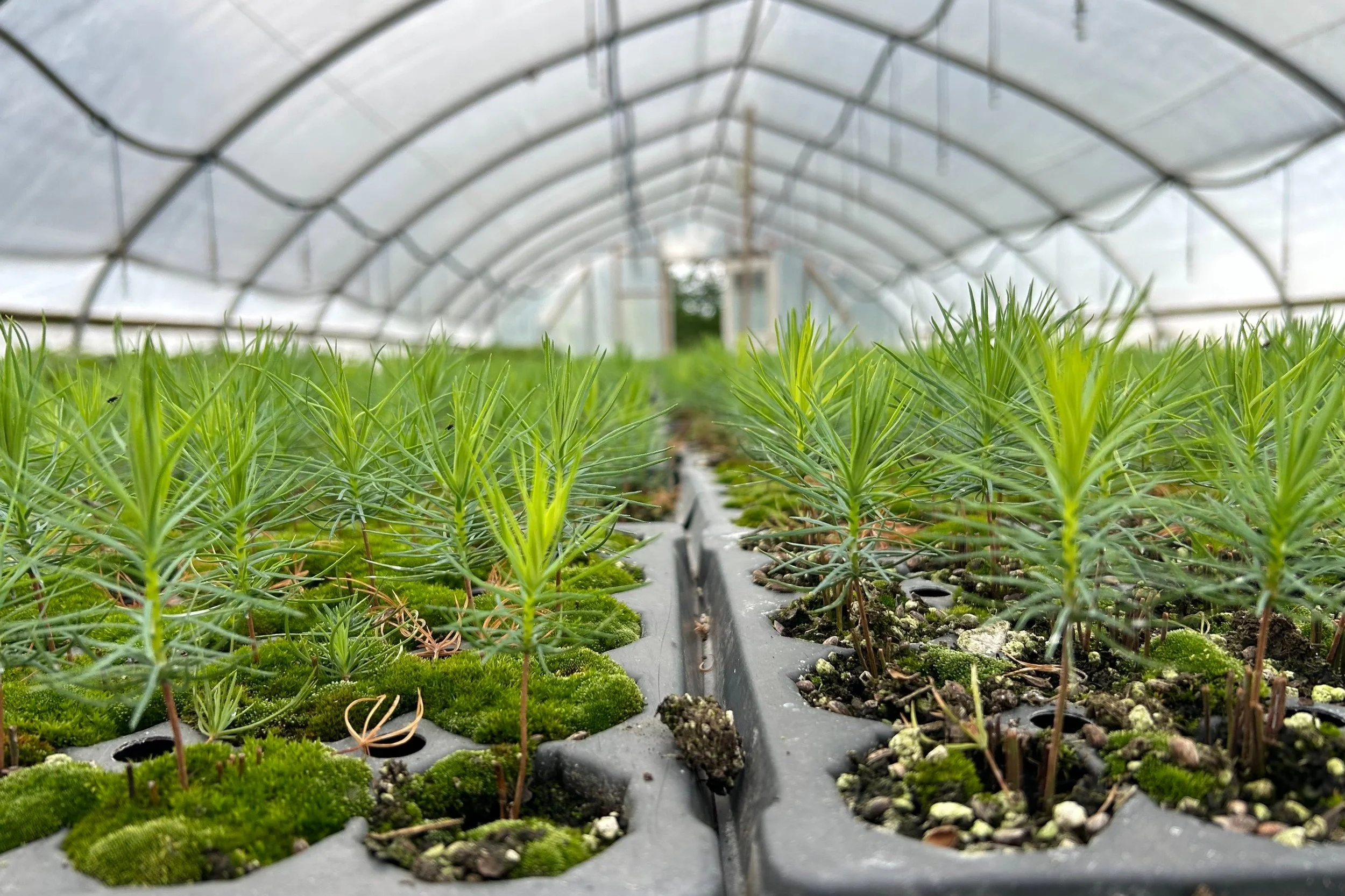 Product Selection — Stone Row Farm